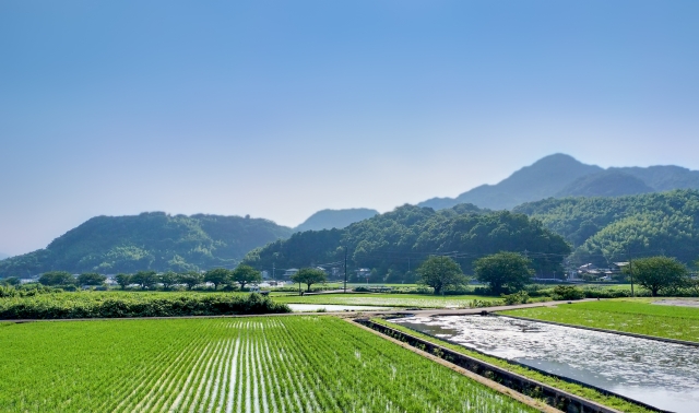青空と農地